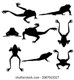 Set with silhouettes of frogs in different positions isolated on a white background. 3D illustration