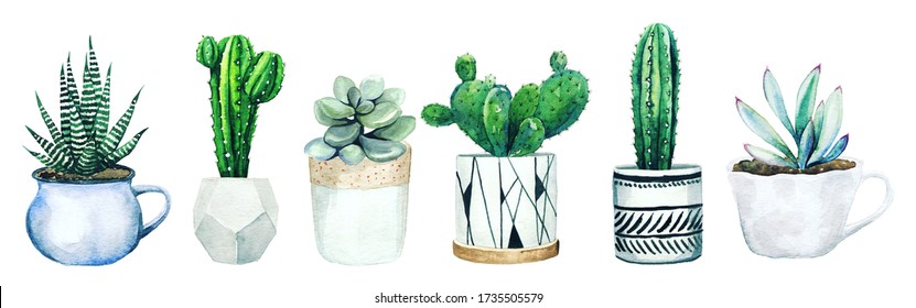 Set of six potted cactus plants and succulents, hand drawn watercolor illustration