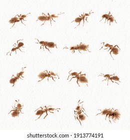 Download Set Insects Images Stock Photos Vectors Shutterstock