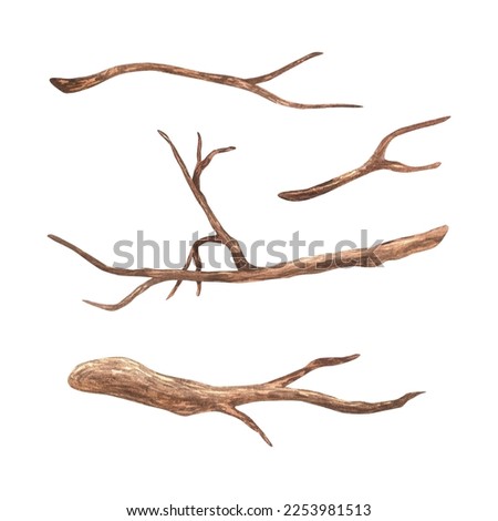A set of small branches without leaves. Watercolor illustration. Brown dry straight twig. Isolated on a white background. For rustic print design, eco friendly packaging, vintage stickers.