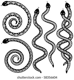 Set Of Snakes Designs In Black And White