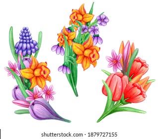 Flower Clip Art Daffodil Images Stock Photos Vectors Shutterstock