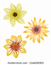 Set Of Summer Flowers Isolated On White Background. Summer Party Decor. Festival Decorations.