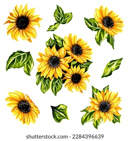 Set sunflower flowers and leaves  JPEG illustration for stickers  creating patterns  wallpaper  wrapping paper   
postcards  design template  fabric  clothing  cross  stitch  embroidery 