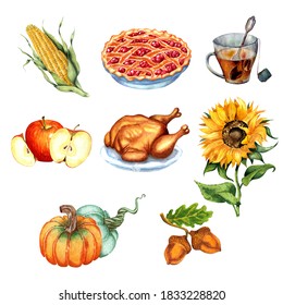 Set for Thanksgiving, harvest festival. Turkey, cherry pie, corn, sunflower, acorns, a cup of tea, apples and pumpkins. Watercolor illustration isolated on white background. Drawn by hand. - Powered by Shutterstock