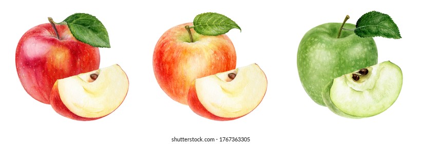 Set of three apples watercolor illustration isolated on white background