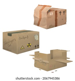 Set Of Three Cardboard Boxes. The Box Is Damaged During Transportation. The Children's Box Is Converted Into An Airplane. Box With Experiment Schrödinger's Cat. 
