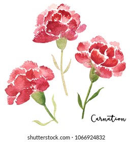 1,897 Stylized carnation Images, Stock Photos & Vectors | Shutterstock