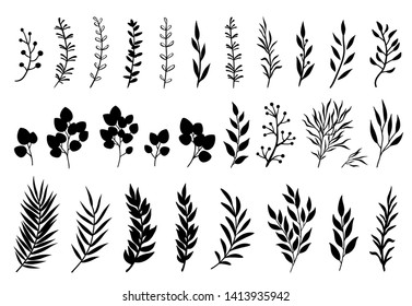 Set Tree Branches Eucalyptus Palm Leaves Stock Vector (Royalty Free ...