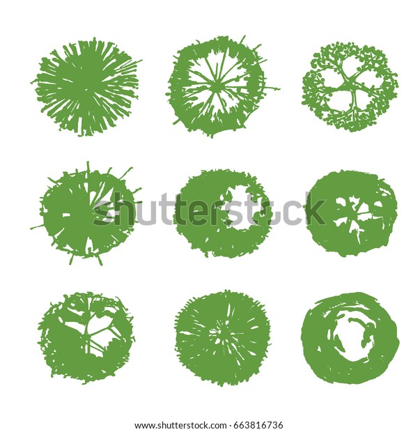 Set Tree Plan Landscape Design Abstract Stock Illustration 663816736 ...