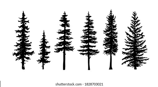 Similar Images, Stock Photos & Vectors of Pacific northwest old growth ...