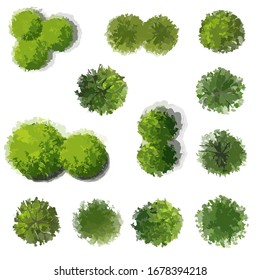 Set Of Tree Top View Isolated On White Background For Landscape Plan Or Gardening