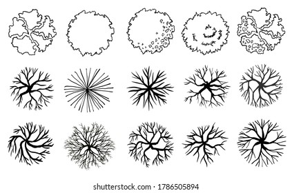 Set Tree Top View Landscape Plan Stock Illustration 1786505894 ...