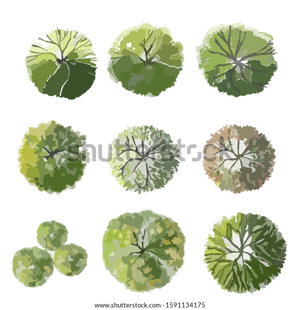 Set Tree Top View Landscape Plan 库存插图 1591134175 | Shutterstock