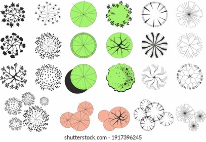 Plan Trees Images, Stock Photos & Vectors | Shutterstock