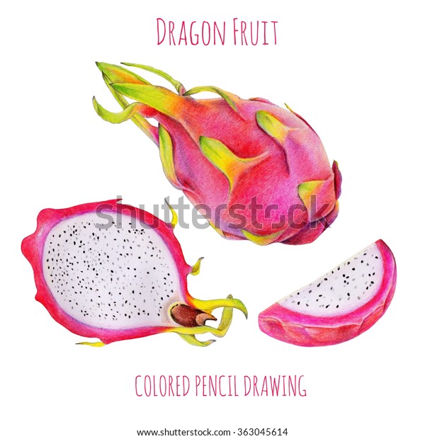 Featured image of post Dragon Fruit Drawing Pencil Draw with me dragon fruit and learn how to draw cute food super easy and kawaii