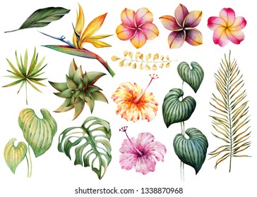 Set Of Tropical Flowers And Leaves. Watercolor Drawing. Isolated Objects.