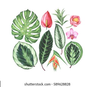 Download Hand Painted Tropical Flower High Res Stock Images Shutterstock