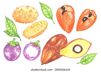 A set of tropical fruits from different exotic countries, painted in watercolor and isolated on a white background. Kiwano passion fruit, mangosteen, aki jamaica, palm kernels.