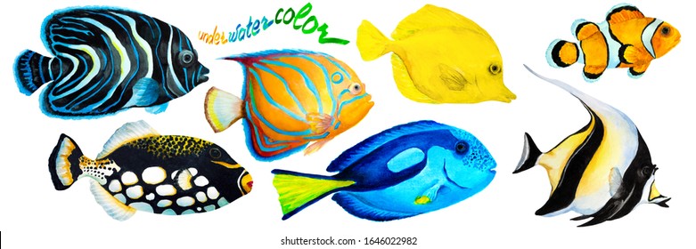Set of tropical reef fish clownfish, moorish idol (zanclus), Emperor angelfish, blue-ringed angelfish, blue tang, yellow tang (zebrasoma) and clown triggerfish. Hand drawn watercolor illustration.
