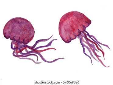 Set Of Two Hand Drawn Watercolor Red Crimson Jellyfish Medusa