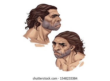 Set of Two High Resolutions Full Color Neanderthal Head Illustration