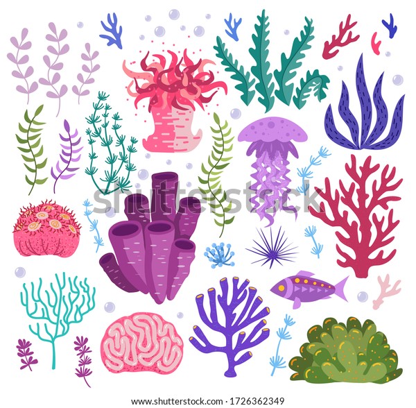 Set of underwater ocean coral reef plants,\
corals. Tropical coral-reef elements, aquatic and aquarium\
seaweeds. Marine algae, jellyfish, fish, sea wild life, sponges and\
seagrasses elements\
collection