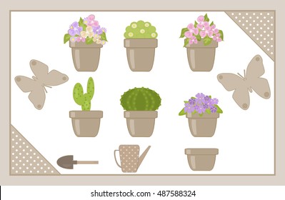 Set of various houseplants isolated