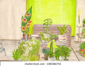 Set of various plants painted with colored pencil on paper