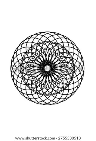A set of vector flower-like lines of different sizes and styles