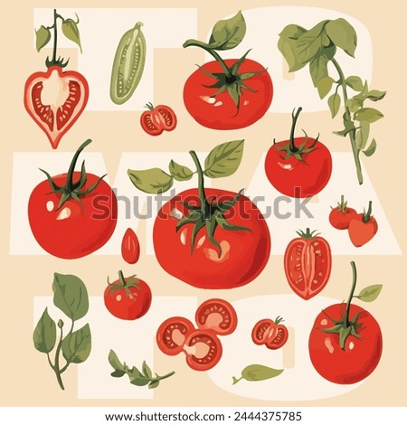 set of vector illustrations of tomatoes illustrations of vegetables hand  drawn illustrations