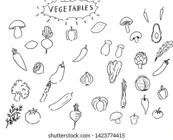 野菜の描き方のベクター画像アイコンセット デザイン農産物用の色野菜とモノクロ野菜のイラスト 市場ラベルベジタリアンショップ のベクター画像素材 ロイヤリティフリー Shutterstock