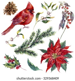 Set Vintage Watercolor Christmas Elements Of Holly, Poinsettia, Pinecone, Spruce Branch And Bird Red Cardinal, Watercolor Illustration Isolated On White Background