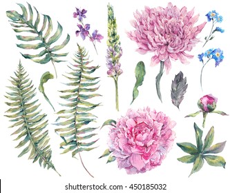 Set vintage watercolor elements of blooming peony, chrysanthemum, ferns, wild and garden flowers, watercolor illustration isolated on white background - Powered by Shutterstock