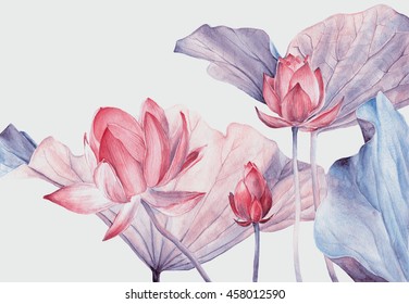 Set of watercolor botanical illustration Lotus flower pink. Element for design of invitations, movie posters, logo, banners, cards and other objects. Symbol of India,  yoga and meditation.

