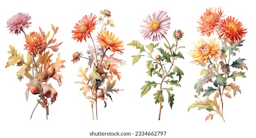 Set watercolor botanical illustrations