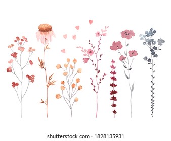 Set of watercolor branches with flowers, illustration design elements isolated on white background. Collection abstract flowers for textile, wallpapers, wedding, greeting or invitation card.
