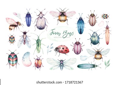 Set of watercolor bright beetles, bugs fly and bees. Isolated colorful cartoon buttle and bug. Insect set
