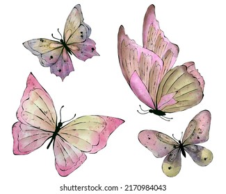 Set Of Watercolor Buterfly, Isolated On White Background