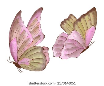 Set Of Watercolor Buterfly, Isolated On White Background