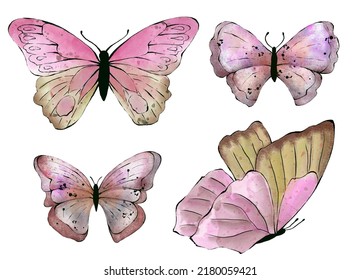 Set Of Watercolor Buterfly, Isolated On White Background