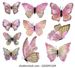 Set Of Watercolor Buterfly, Isolated On White Background