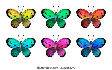 Set Of Watercolor Butterfly. Watercolor Summer Clipart. 