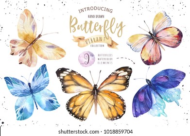 Set Of Watercolor Butterfly. Vintage Summer Isolated Spring Art. Watercolour Illustration. Design Wedding Card, Insect, Flower Beauty Banner. Unusual Popular Decoration Design.