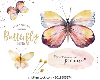 Watercolor Colorful Butterflies Isolated On White Stock Illustration ...