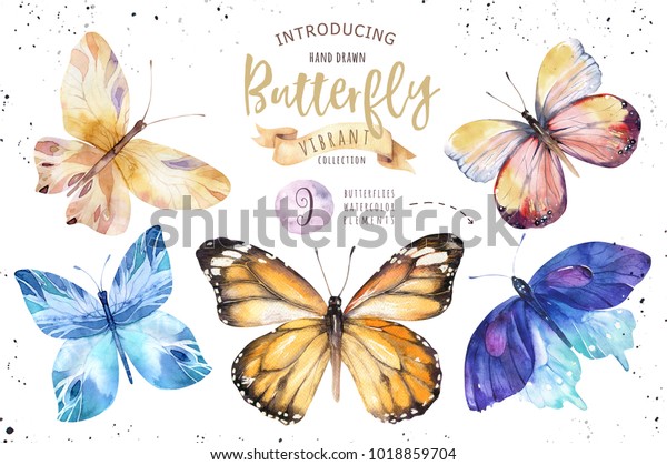 水彩の蝶のセット ビンテージ夏の春のアート 水彩イラスト ウエディングカード 昆虫 花の美しいバナーをデザイン 珍しい人気のデコレーションデザイン の イラスト素材