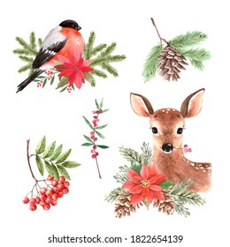 Set Of Watercolor Christmas Illustrations Animals And Plants Isolated On White Background