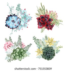 A set of watercolor compositions made of succulent flowers. Delicate watercolor succulents. A collection of colorful succulents.