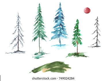 A set of watercolor conifers. Pine, spruce, fir, larch, dried tree, green, winter tree. Forestry set. Handmade drawings on white isolated background.