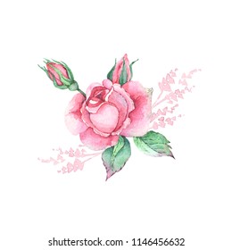 Set Watercolor Drawings Rose Flowers Leaves Stock Illustration ...